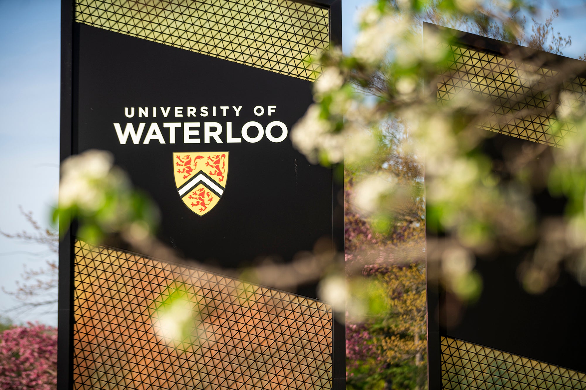 Google partners with University of Waterloo to shape the future of work and learning