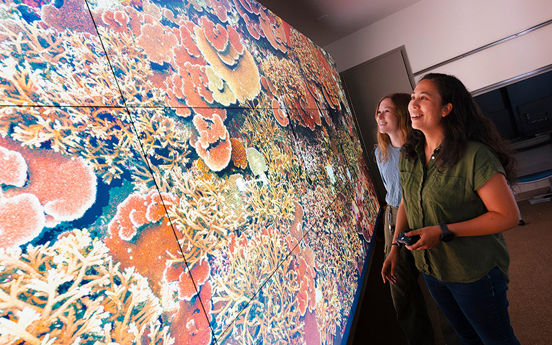 New Technology Infrastructure Streamlines AI-Powered Coral Research